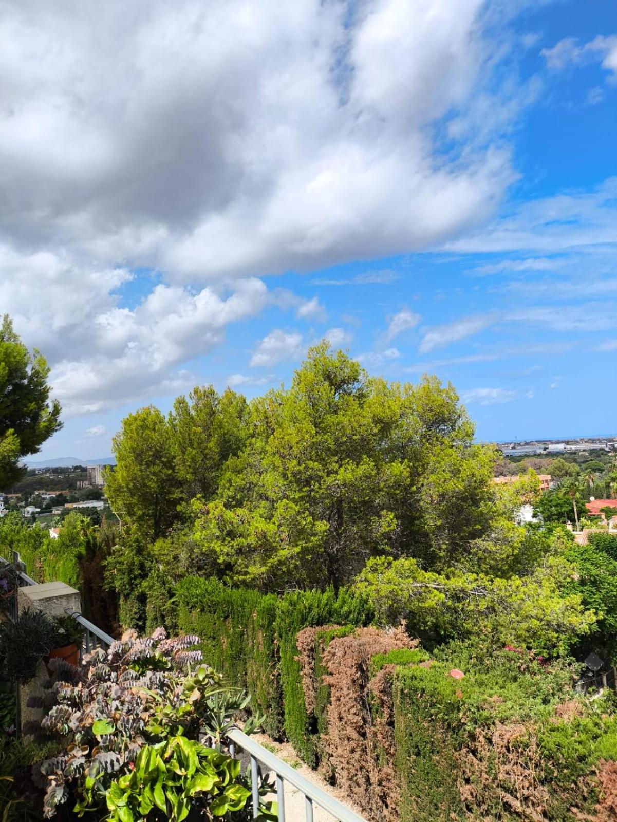 Appartement Apartemento Monika Monte Pedrera C 5 Aussicht
